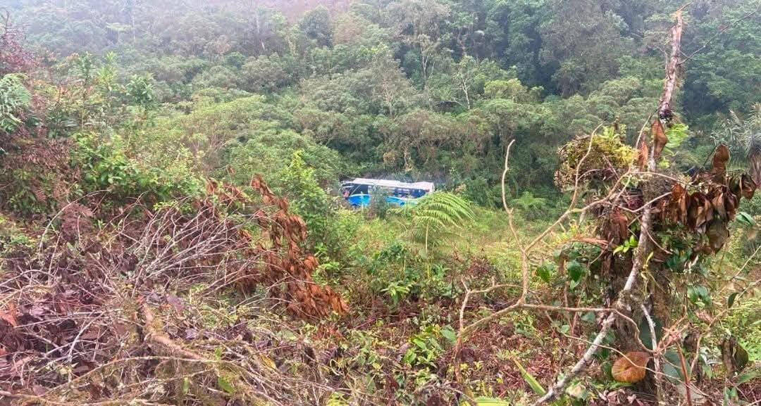Bus de transporte público cayó al abismo en la vía La Soberanía, zona rural de Toledo. / Foto: Cortesía.