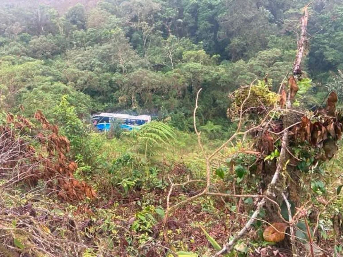 Bus de transporte público cayó al abismo en la vía La Soberanía