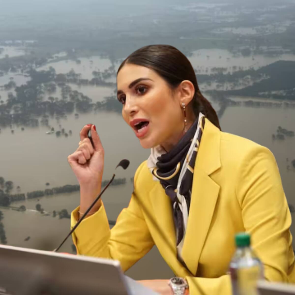 Miserable la manera en la que Petro ejecuta el presupuesto general de la nación: Saray Robayo