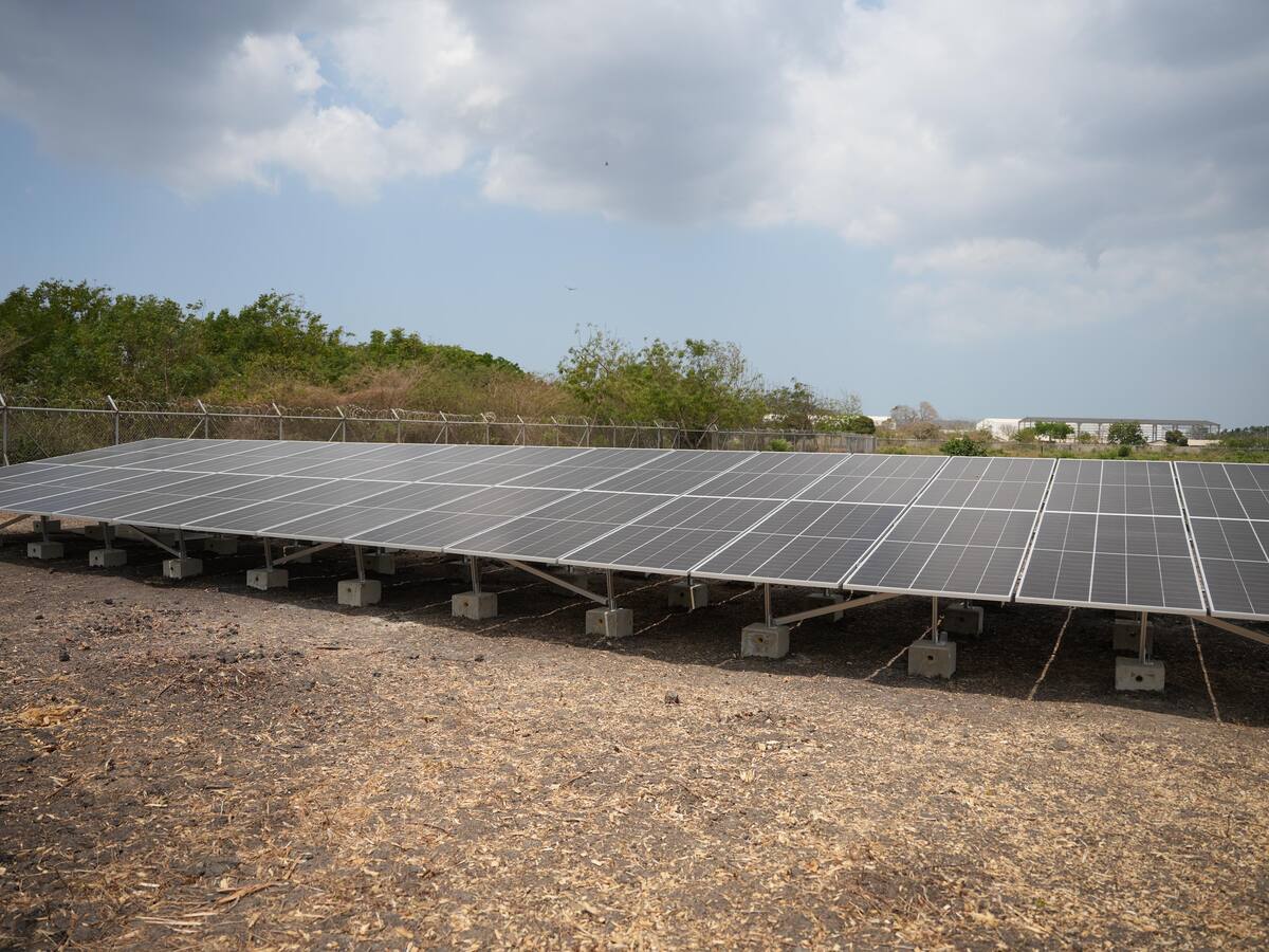 Barranquilla avanza hacia energías limpias con nuevo parque solar