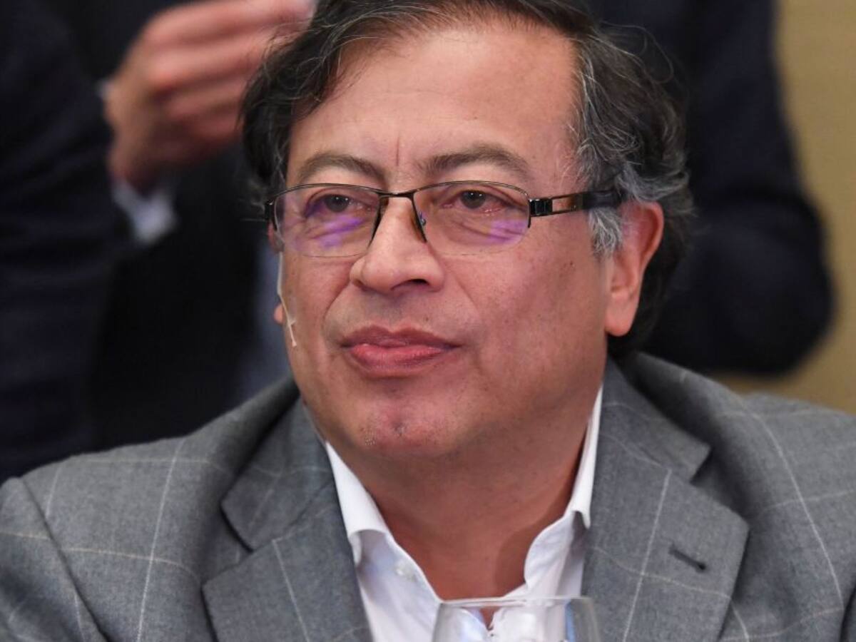 Reforma tributaria de Gustavo Petro está bien encaminada: Economista