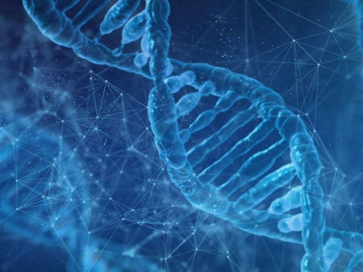 ¿Por qué importa el estudio de la composición genética de una persona?