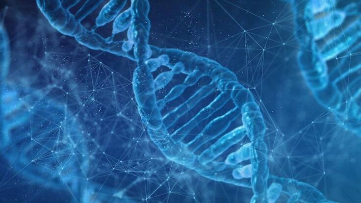 ¿Por qué importa el estudio de la composición genética de una persona?