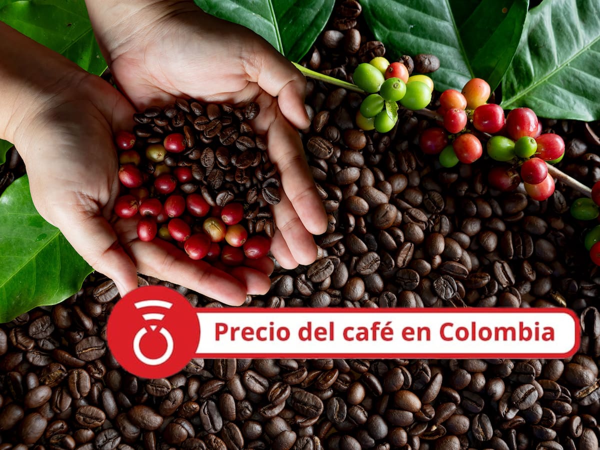 Precio del café HOY 17 de septiembre: el valor del fruto sigue en caída libre a finales de semana