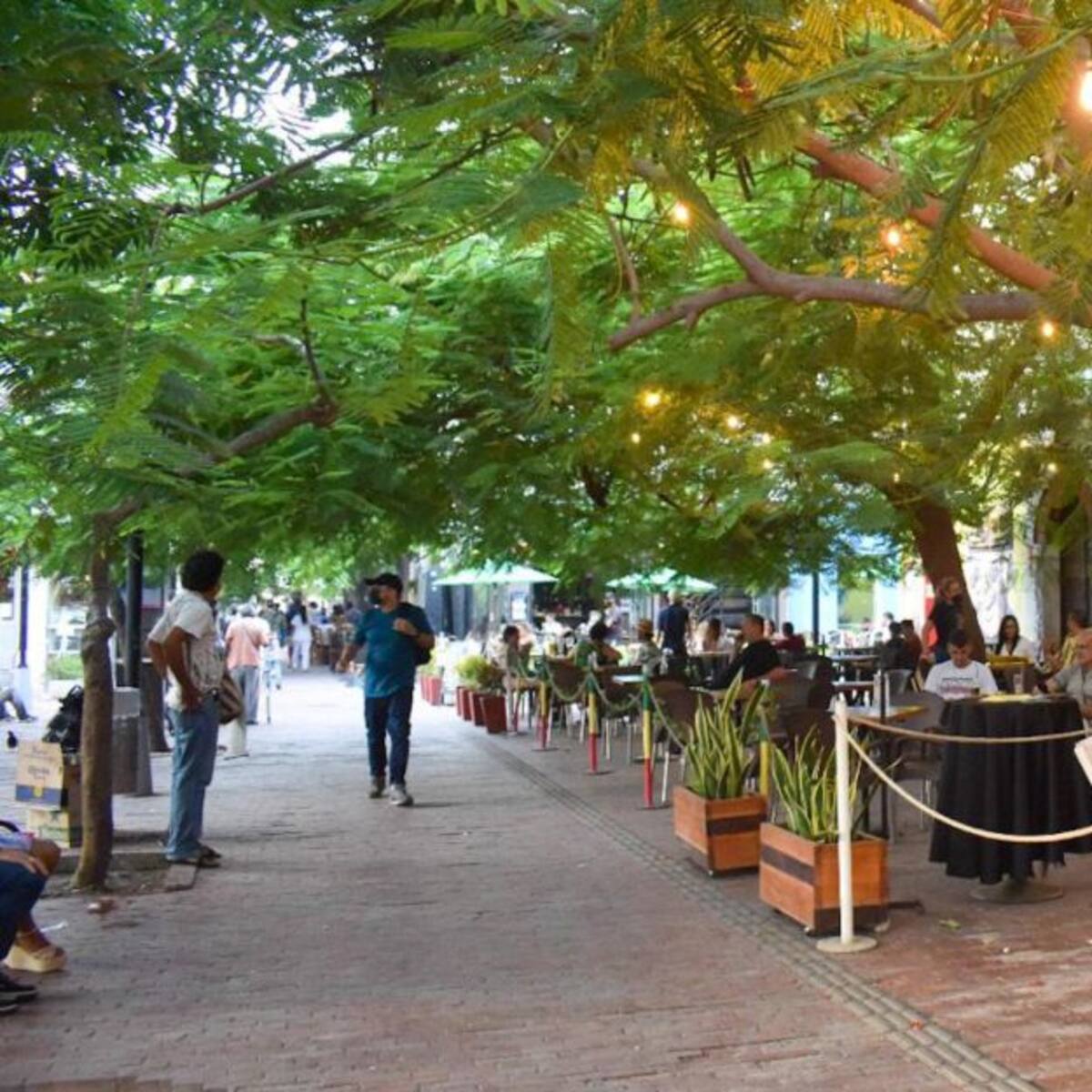 Reactivación económica de Santa Marta se encuentra en un 90%