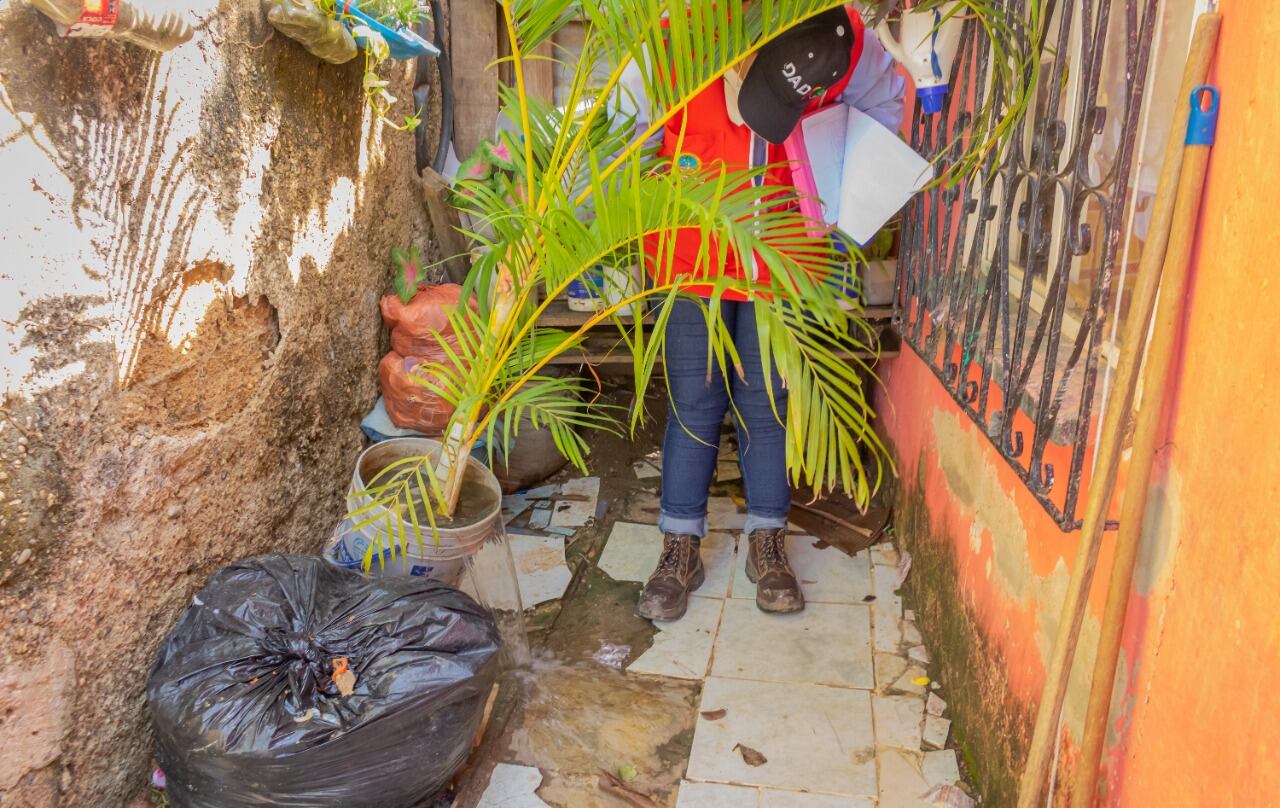 Alcaldía de Cartagena