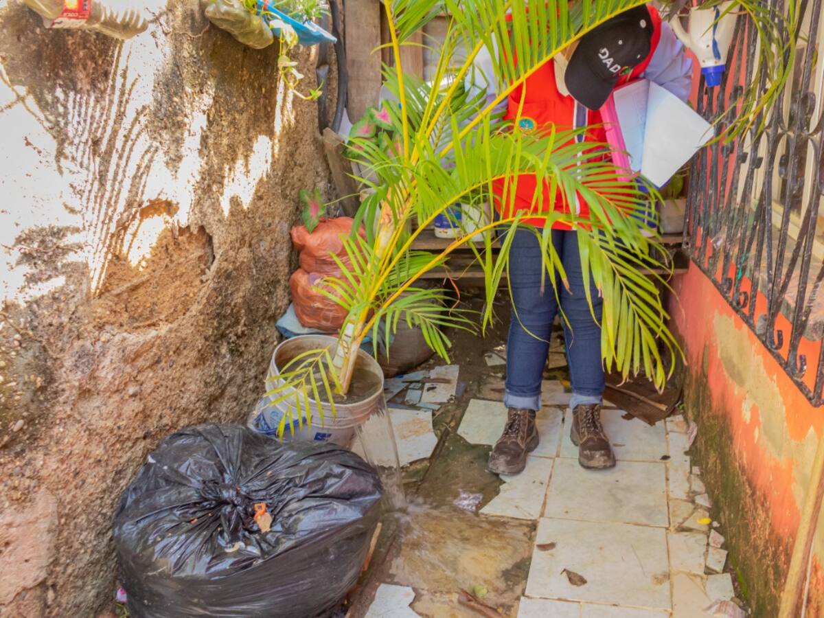 Cartagena registró 80 casos de dengue y dos muertes probables en la última semana