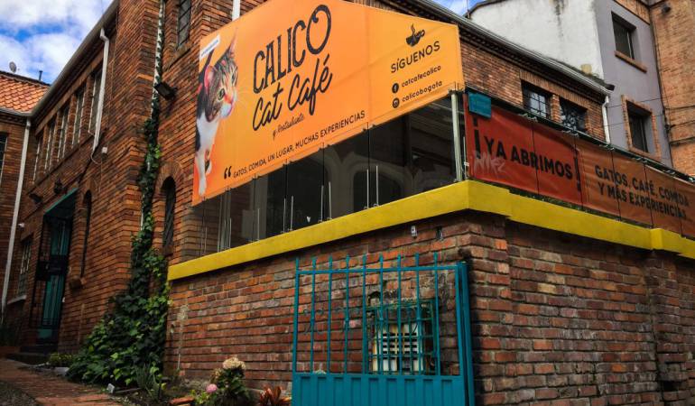 Calico Café