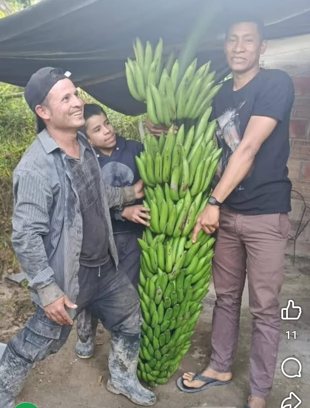 Una longitud de 1,70 metros y un peso aproximado de 80 kilos. Foto Redes Sociales.