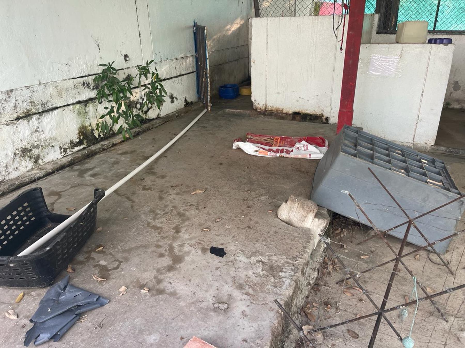 Centro de Protección Animal de Ibagué