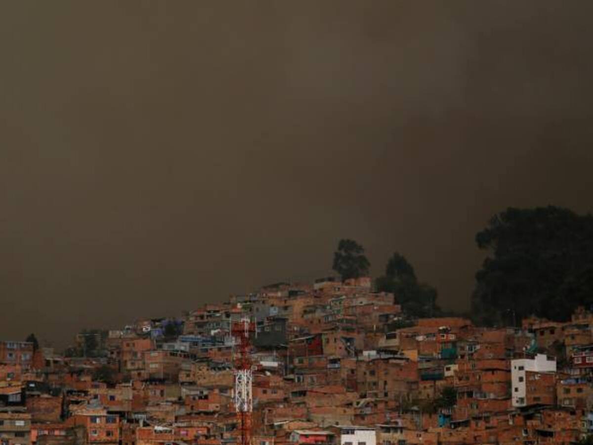 Para evitar incendios en cerros hay que restaurarlos con plantas nativas: experto