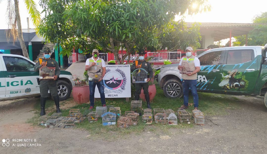 Según el EPA, durante el mes de agosto 183 animales fueron rescatados y decomisados por la Policía Ambiental en toda la ciudad