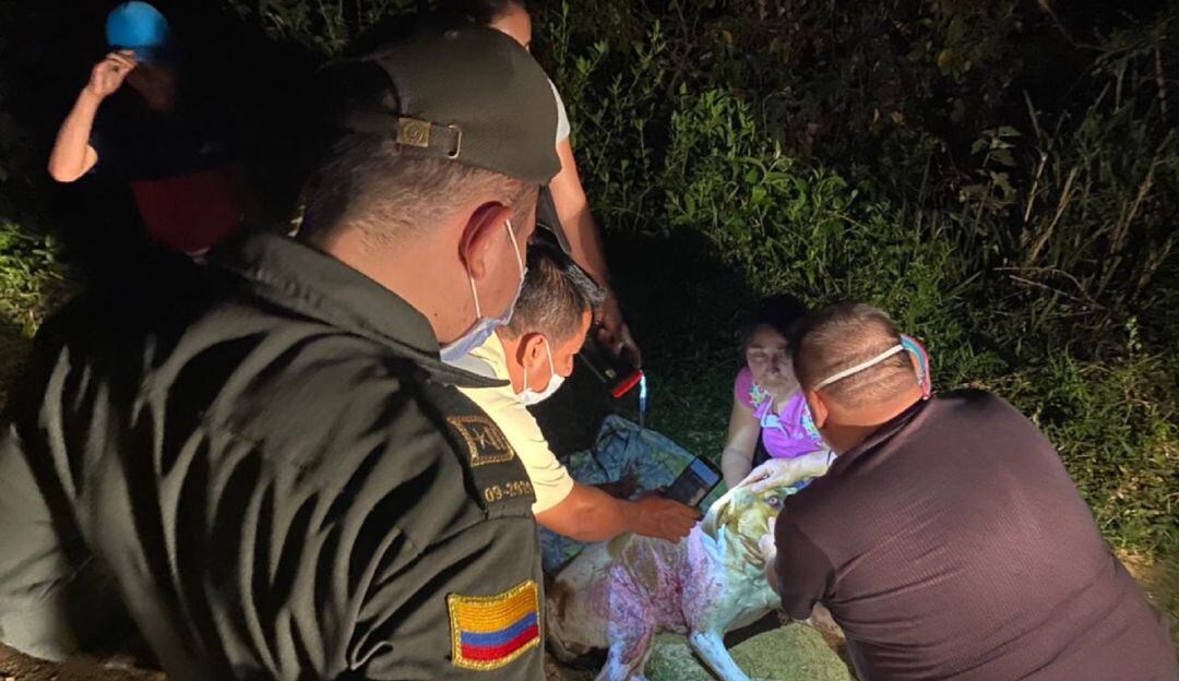 Suministrada Policía Tolima