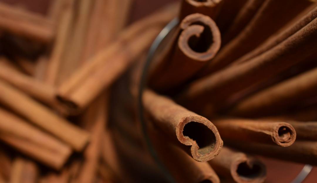 Canela -Getty images 