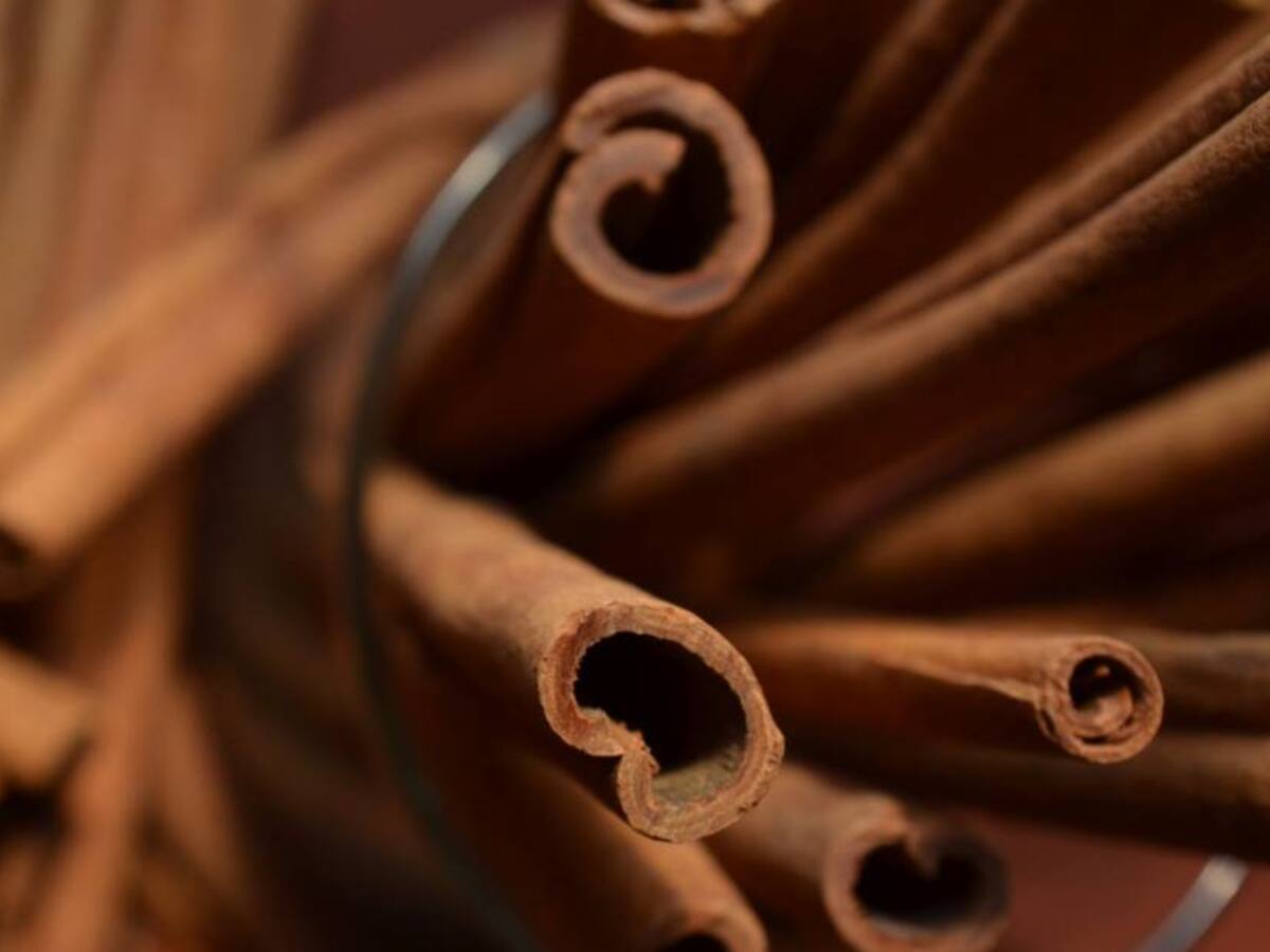 Esta especie puede ayudarlo en su lucha contra la Diabetes