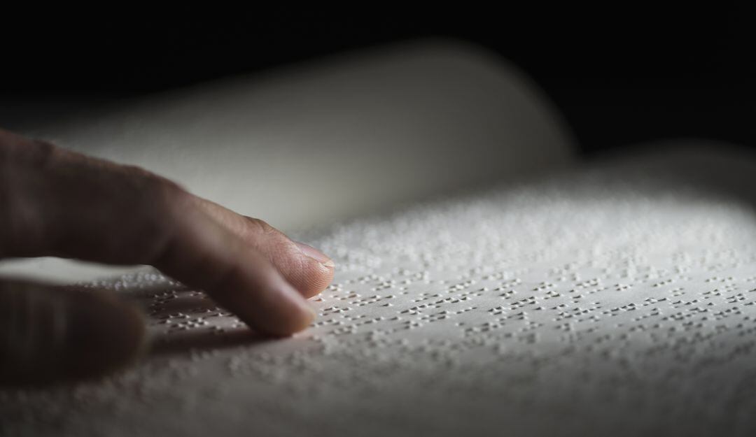 Imagen de referencia