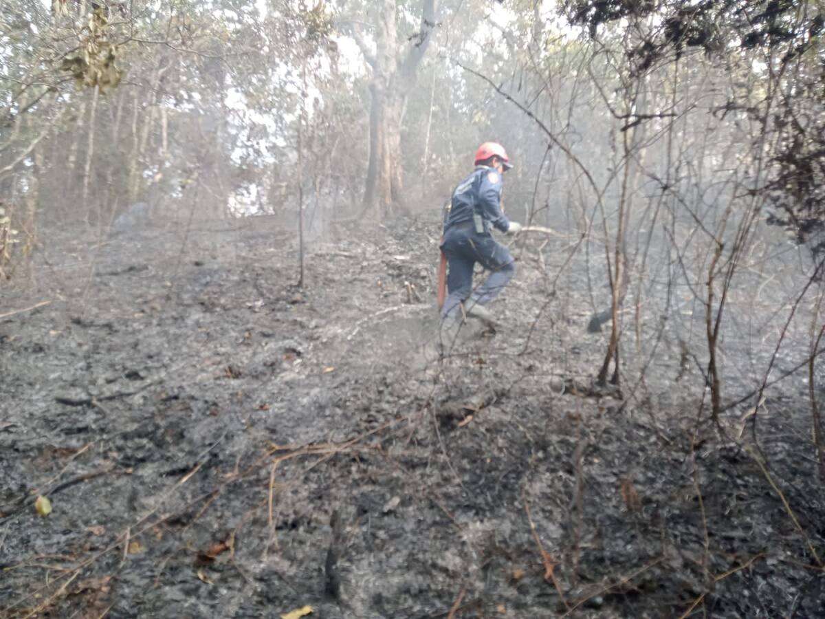 14 incendios forestales se reportan en Pitalito, Huila