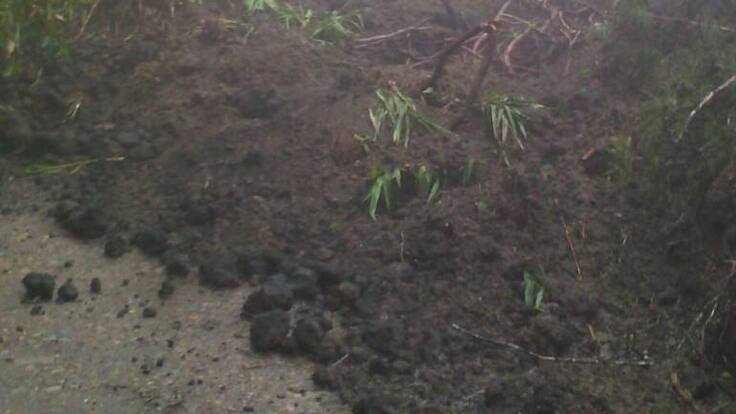 Guido Echeverri Piedrahita, Gobernador de Caldas