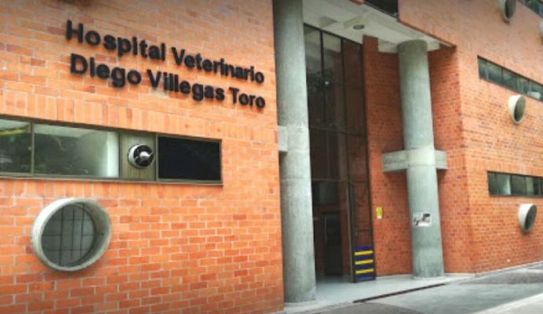 Reabren el Hospital Veterinario del del programa de Medicina Veterinaria y Zootecnia