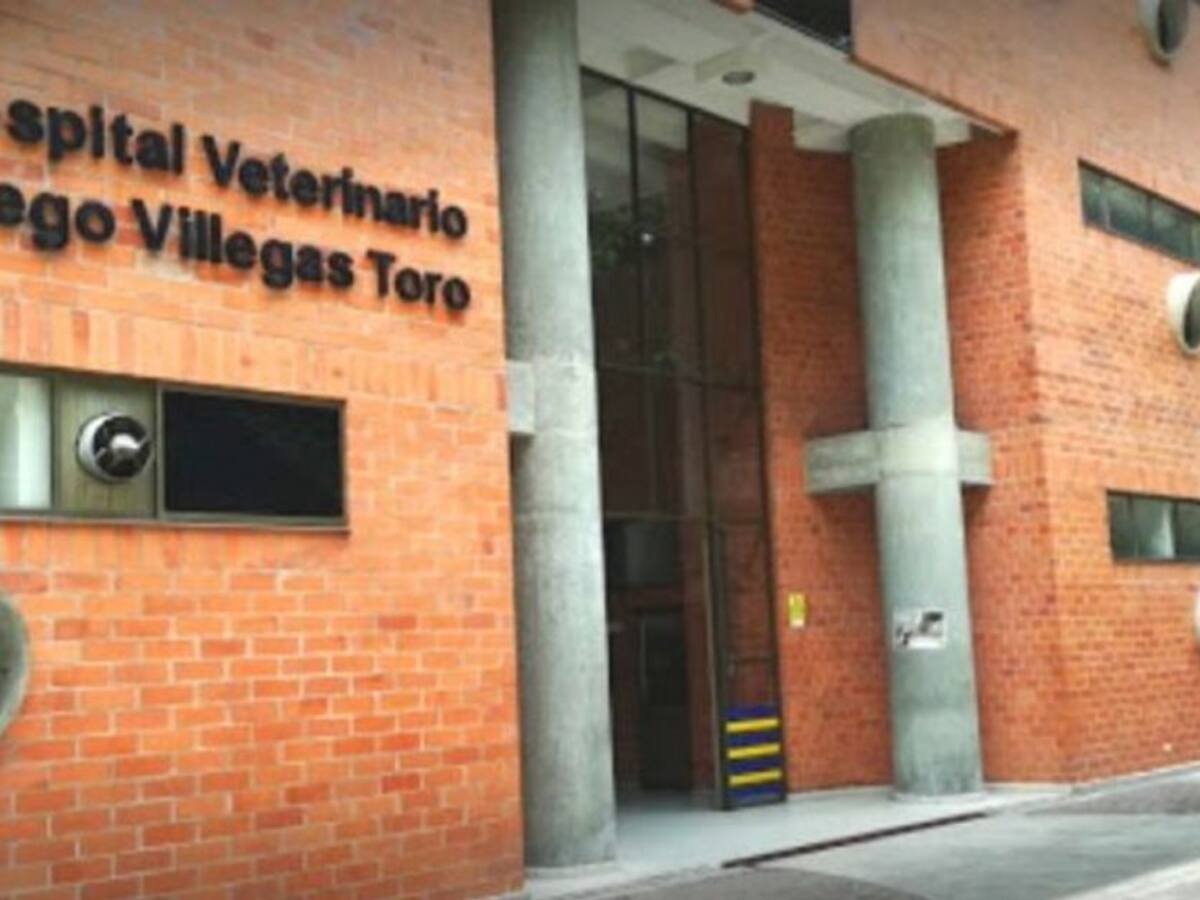 Reabren el Hospital Veterinario de la Universidad de Caldas