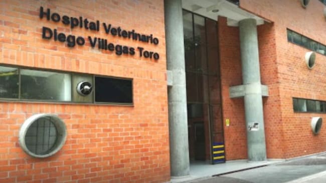 Reabren el Hospital Veterinario del del programa de Medicina Veterinaria y Zootecnia