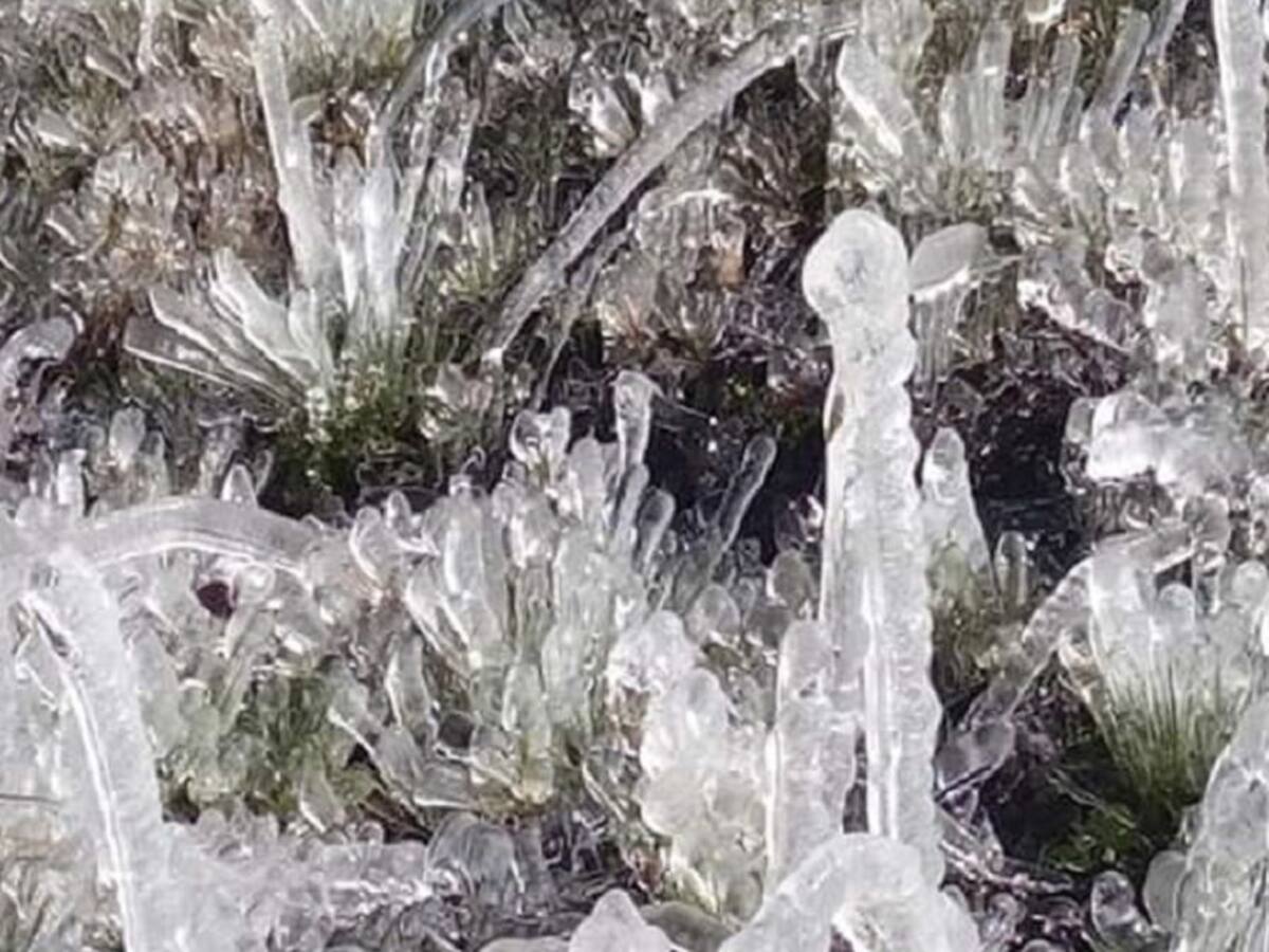 Hasta el agua de la tubería se congeló