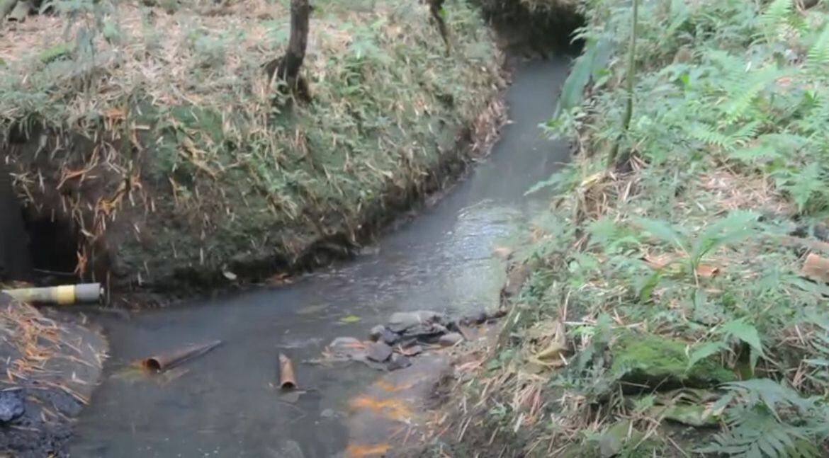 Foto: Corporación Autónoma Regional de Risaralda, Carder