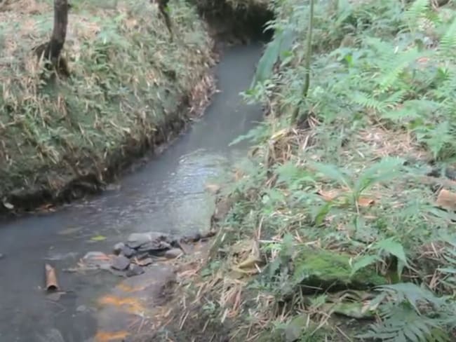 Foto: Corporación Autónoma Regional de Risaralda, Carder