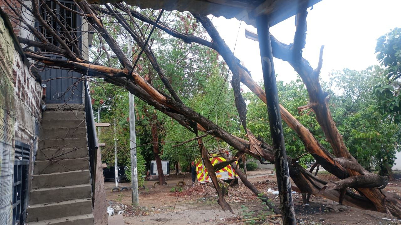 Ciudadanos que justifican la tala por afectaciones. Foto Relacionada.