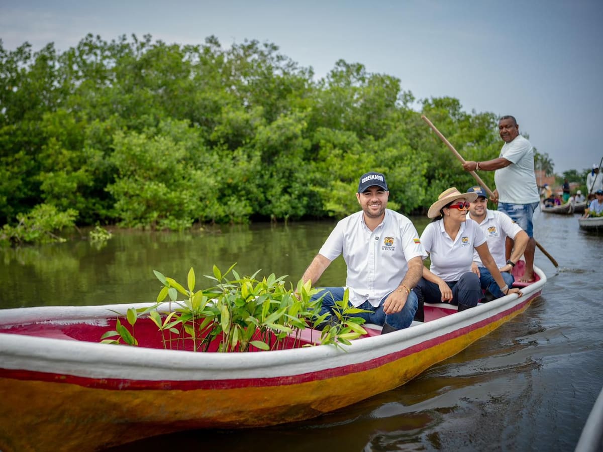 400 mangles rojos en La Boquilla fueron sembrados con apoyo de la gobernación