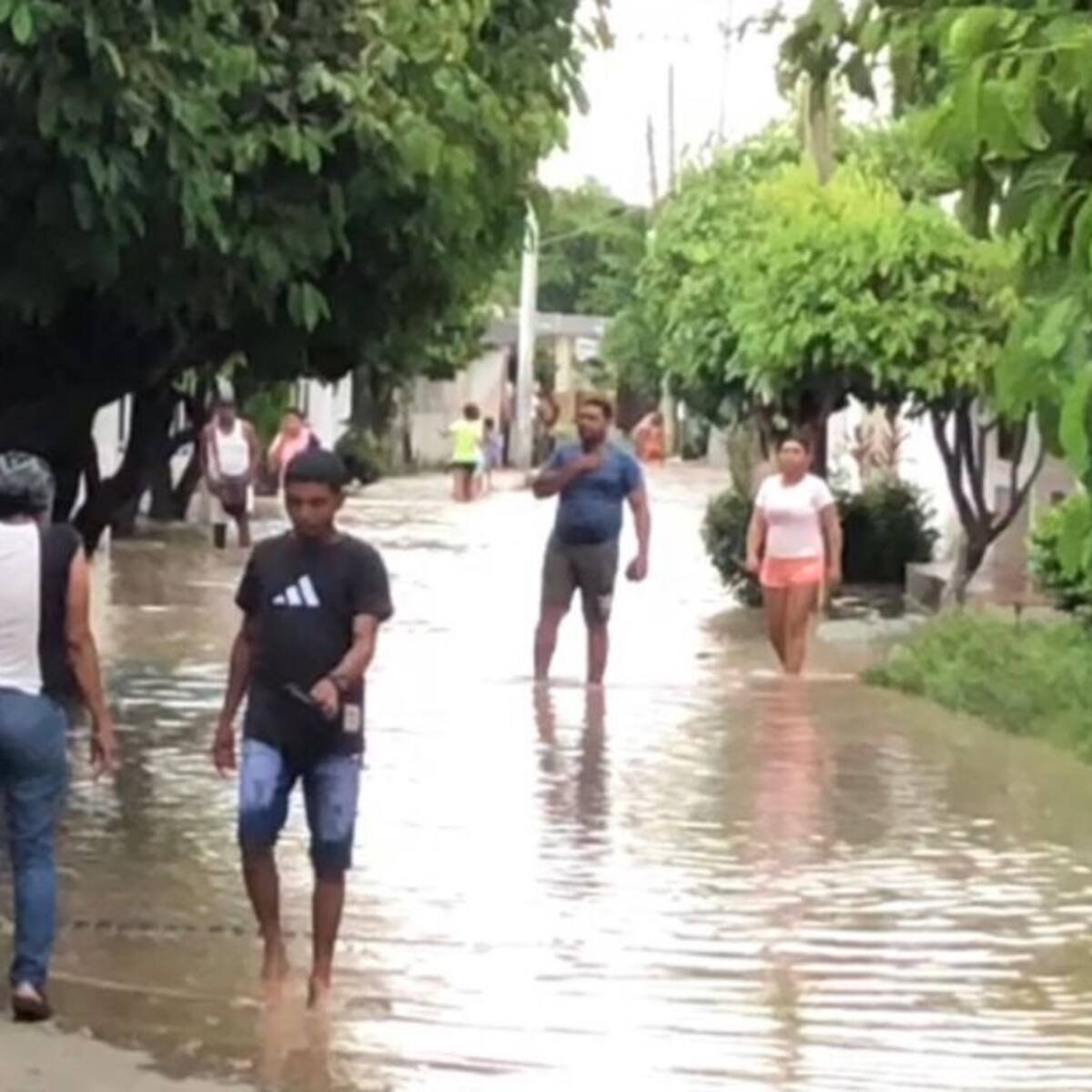 Emergencia en Zona Bananera por desbordamiento del río Sevilla