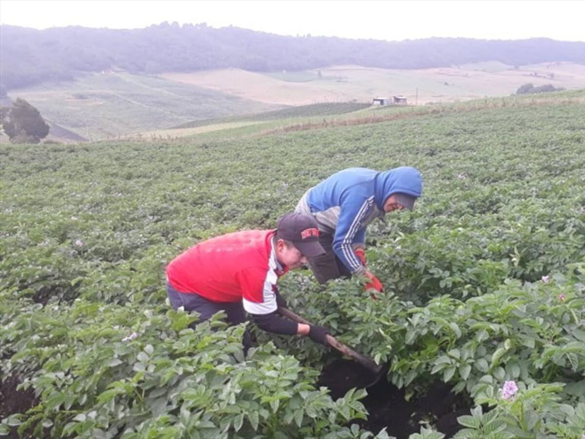 La SAC lanza advertencia por posible especulación con los precios de los alimentos
