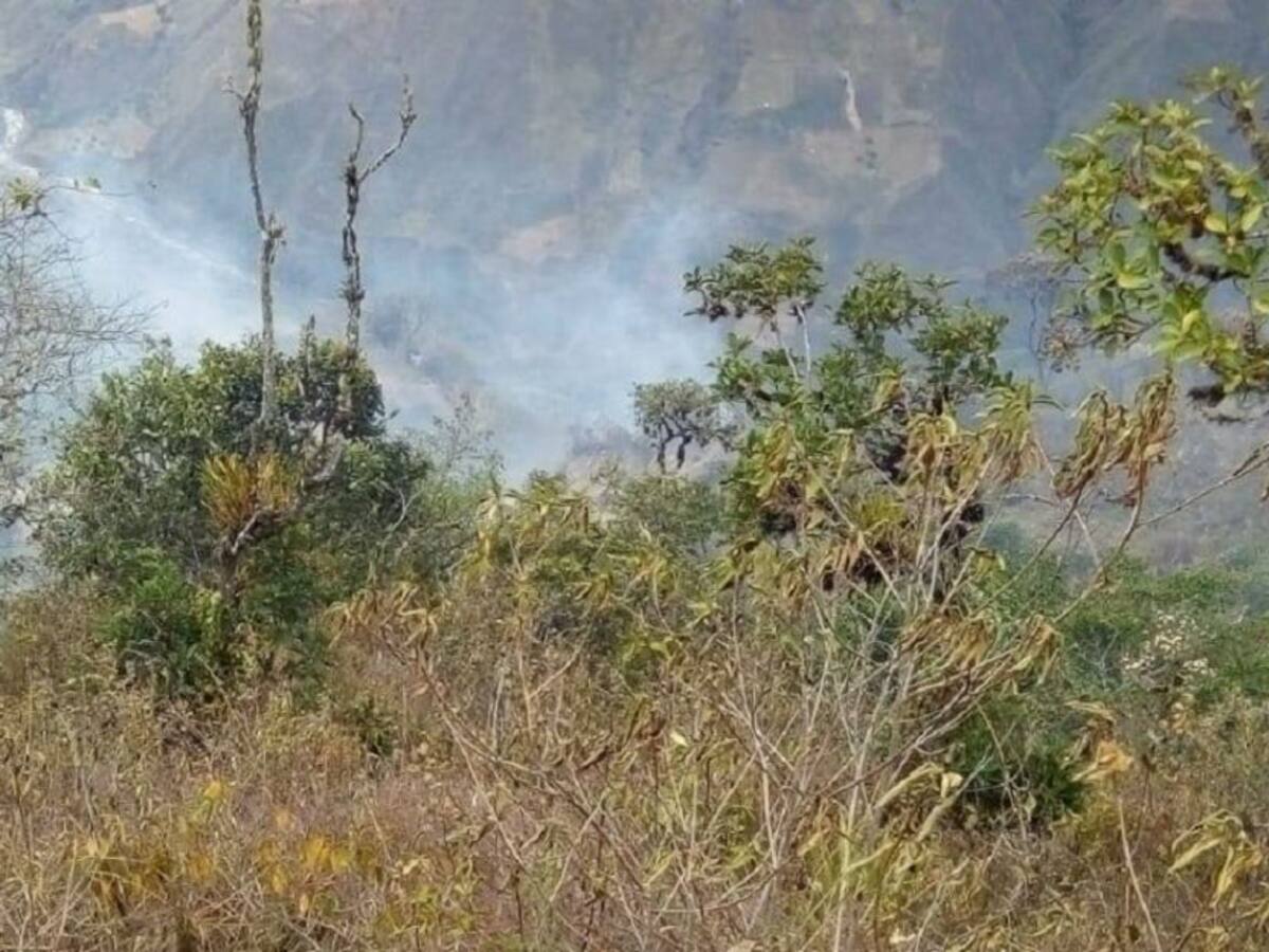 Las quemas afectan la biodiversidad