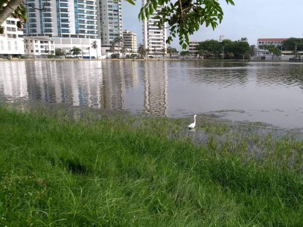 Espolón del Hilton, el problema de El Laguito en Cartagena: ETEC