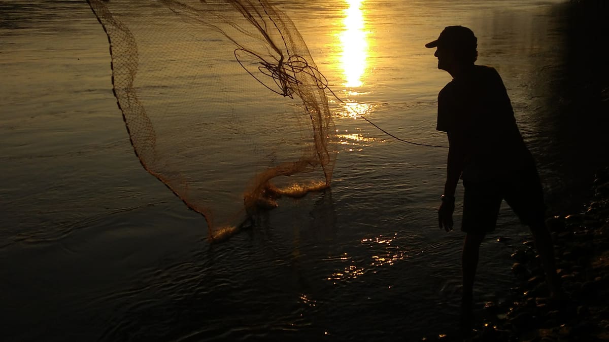 Más de $8 millones vendieron pescadores en Bocas de Ceniza por subienda de jurel