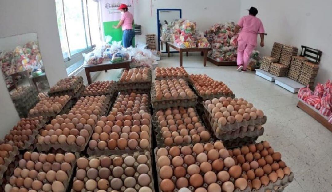 Imagen de referencia