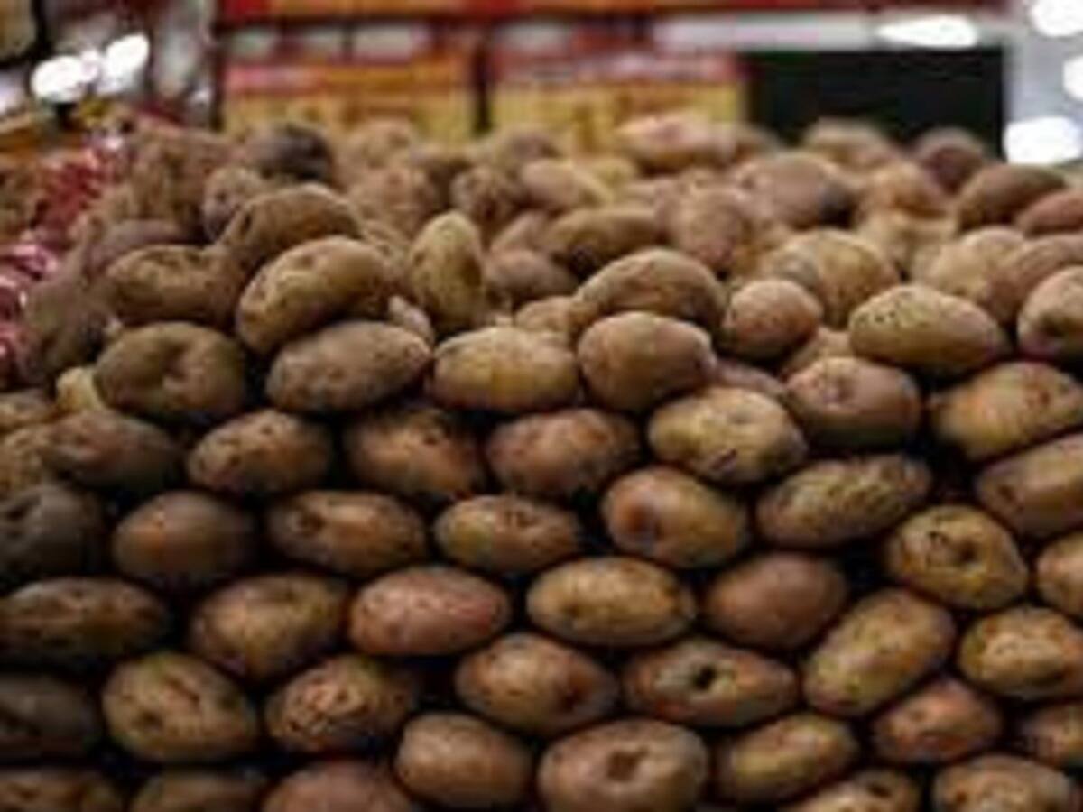 Alza en fertilizantes golpea a papicultores del Tolima