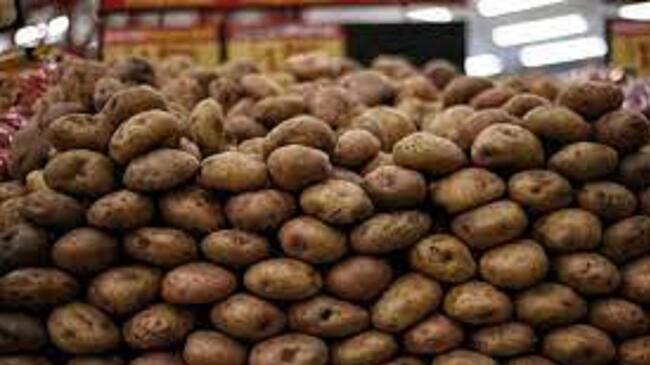 Crisis papicultores Tolima