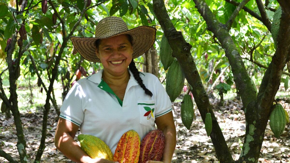 Mujer asume, por primera vez en 60 años, presidencia de Junta de Fedecacao