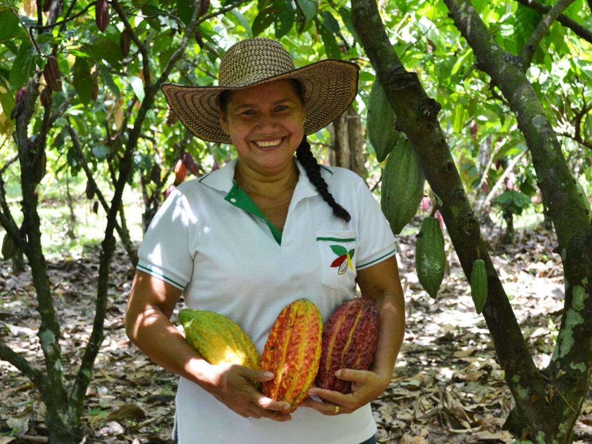 A los 6 años comenzó a querer el cacao; hoy lidera la Junta Directiva de Fedecacao