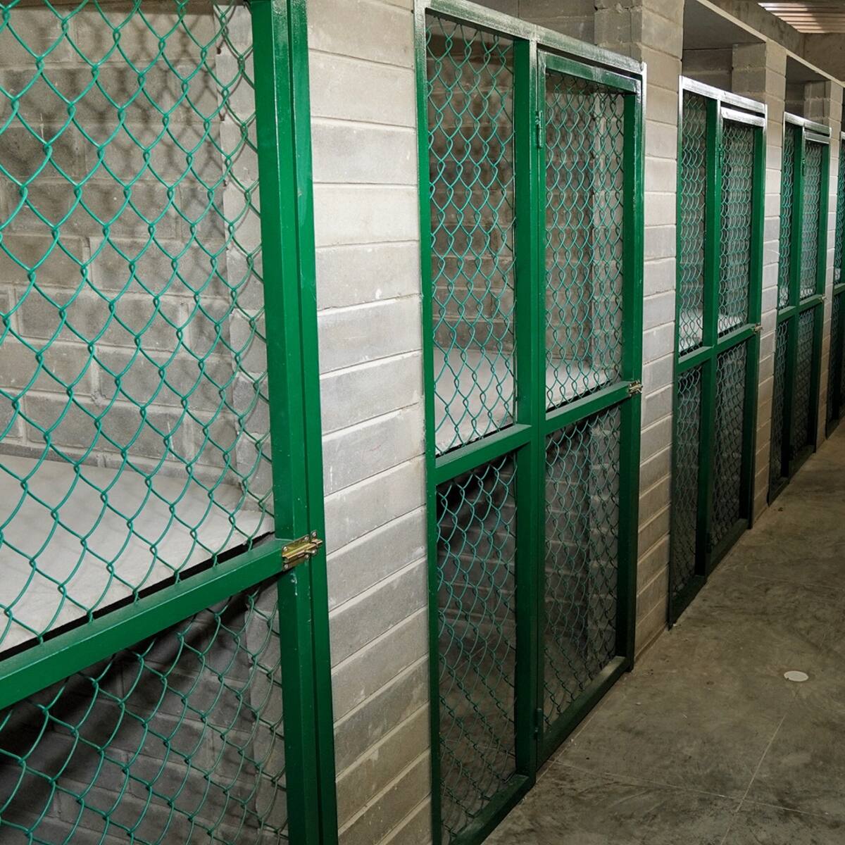 Ya está listo el Centro de Bienestar Animal de Barranquilla