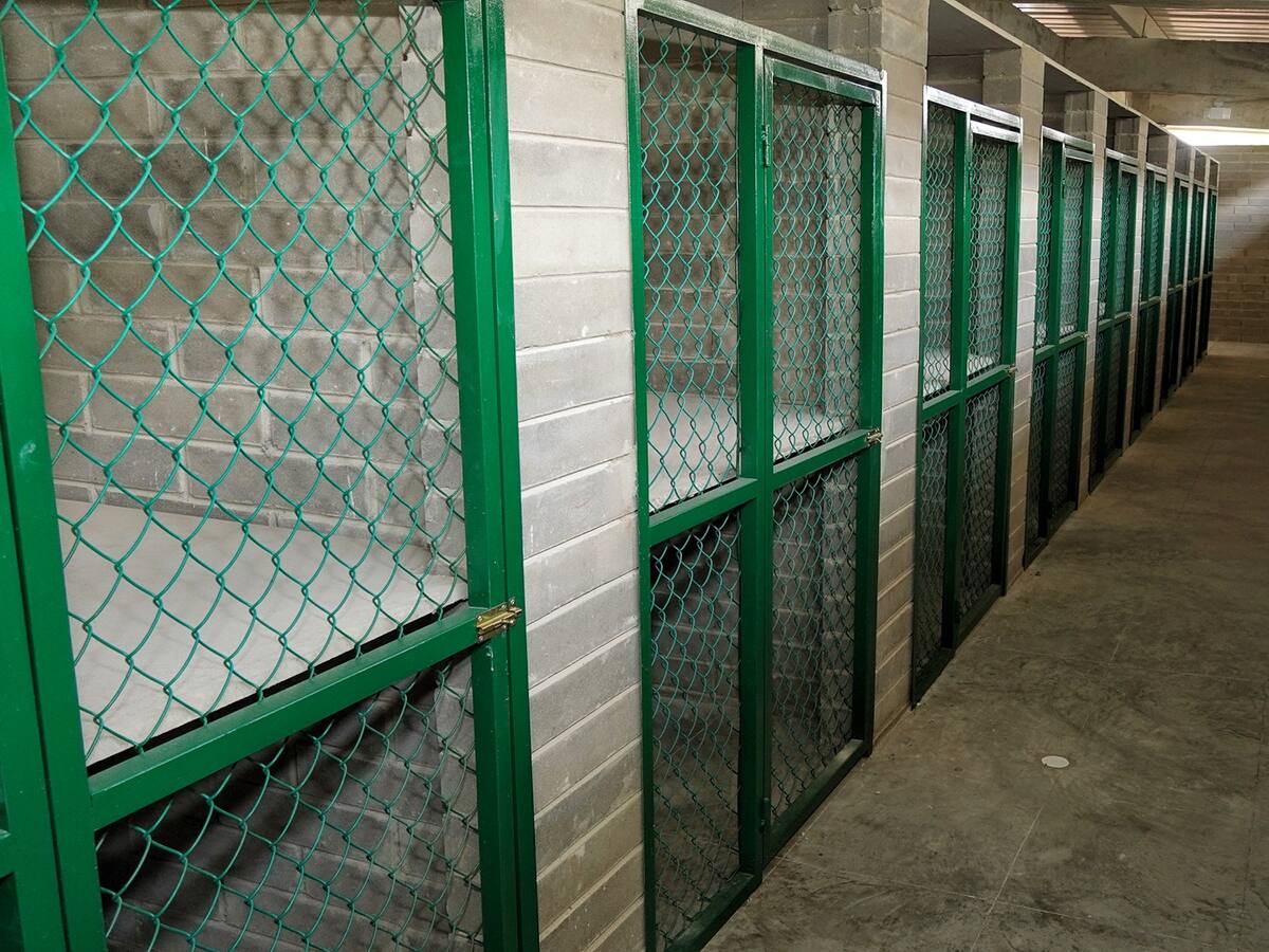 Ya está listo el Centro de Bienestar Animal de Barranquilla