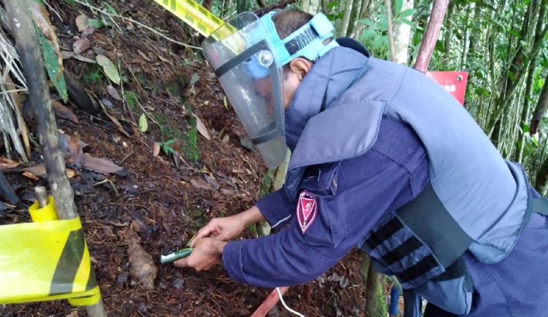 Foto: Ejército Nacional 