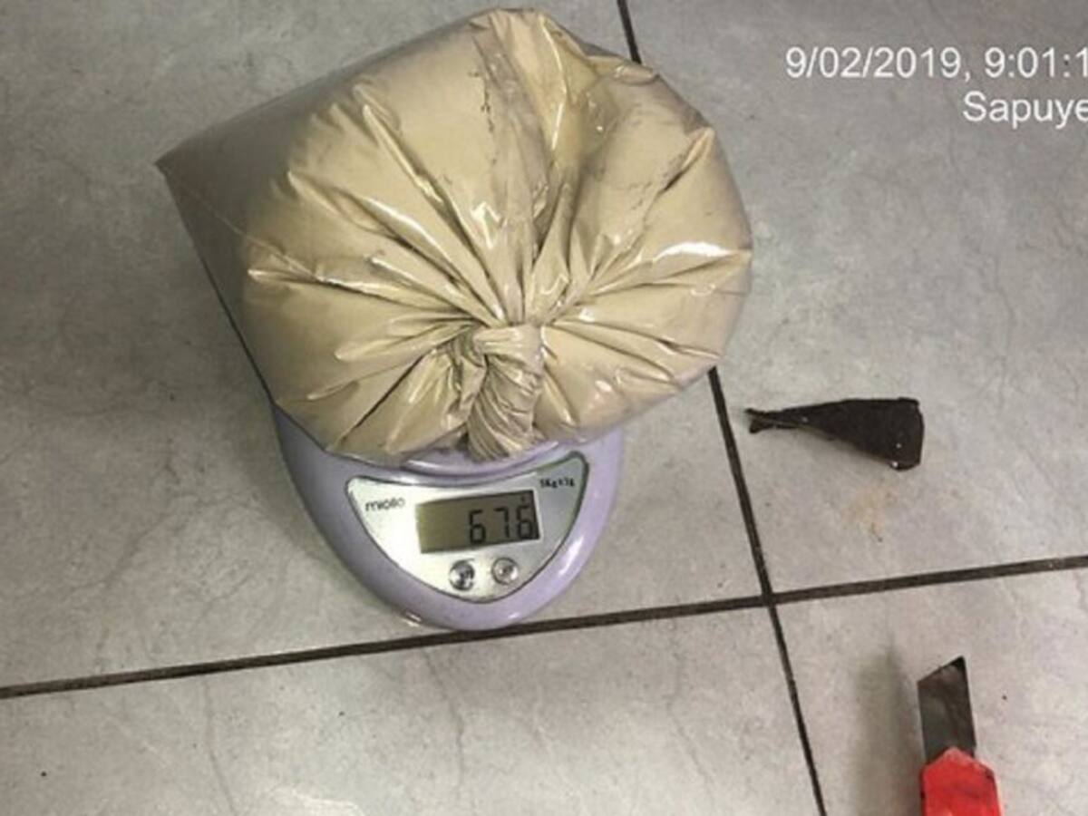 Autoridades buscan la marca de un delfín tras incautación