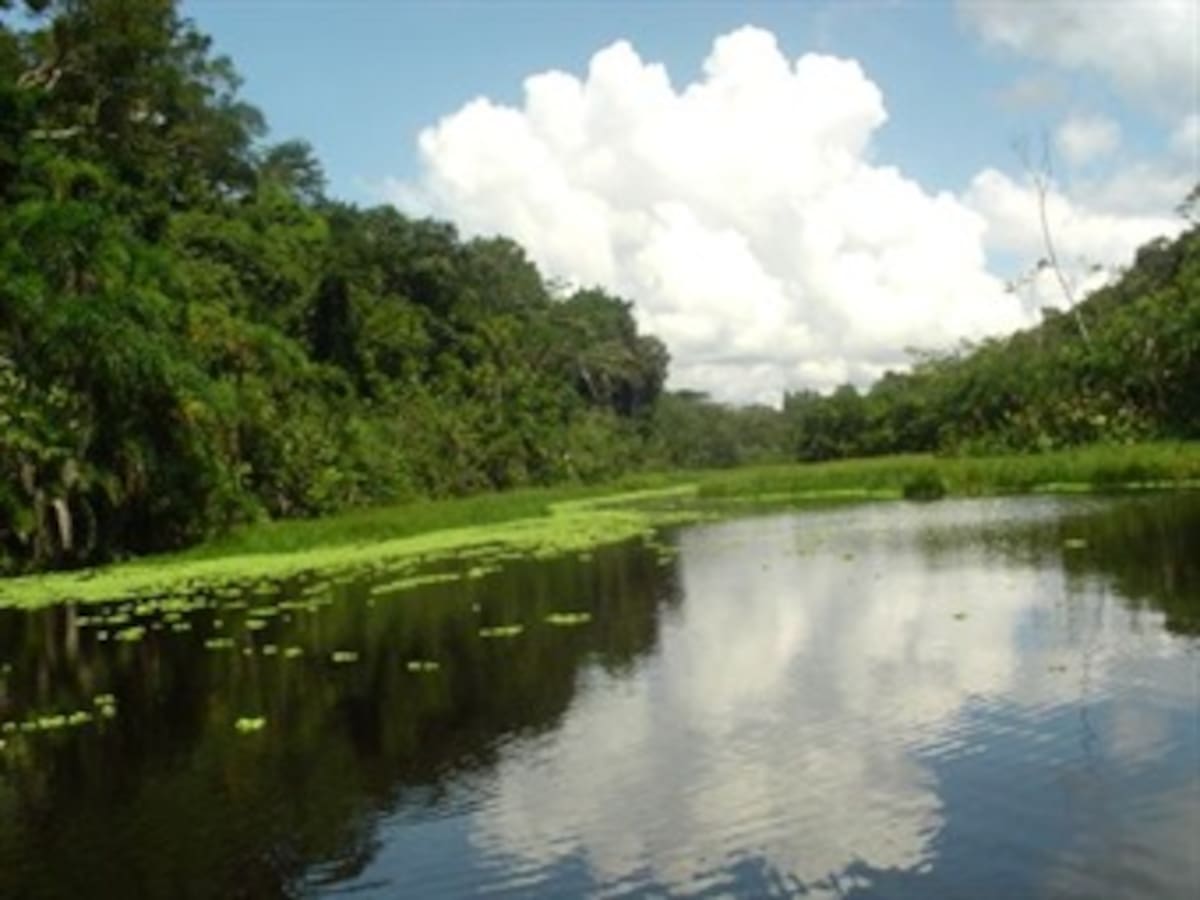 Presidente de Perú suscribe decreto para promover 20 hidroeléctricas en la selva peruana