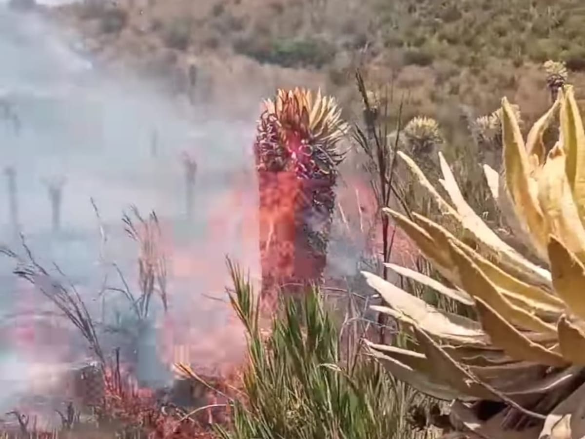 “Fueron dos días de mucha angustia” campesino relata en medio de tragedia ambiental