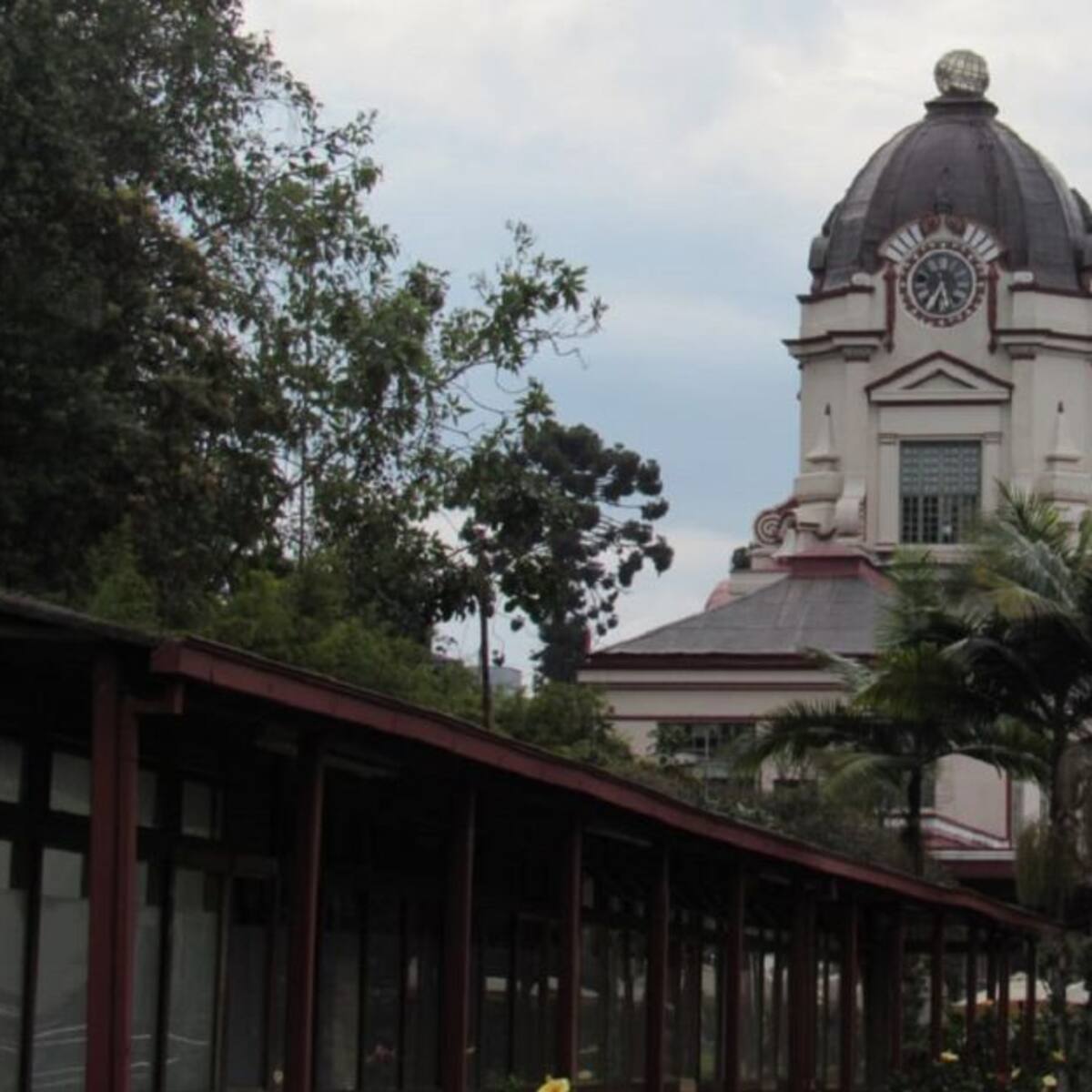 Universidad Autónoma de Manizales implementará la alternancia
