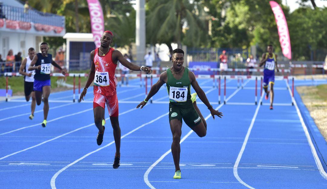 Imagen de referencia