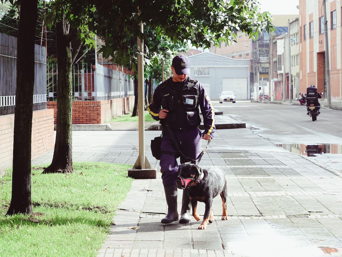 Adiós a los perros en la vigilancia: Bogotá apuesta por la tecnología avanzada en sector salud