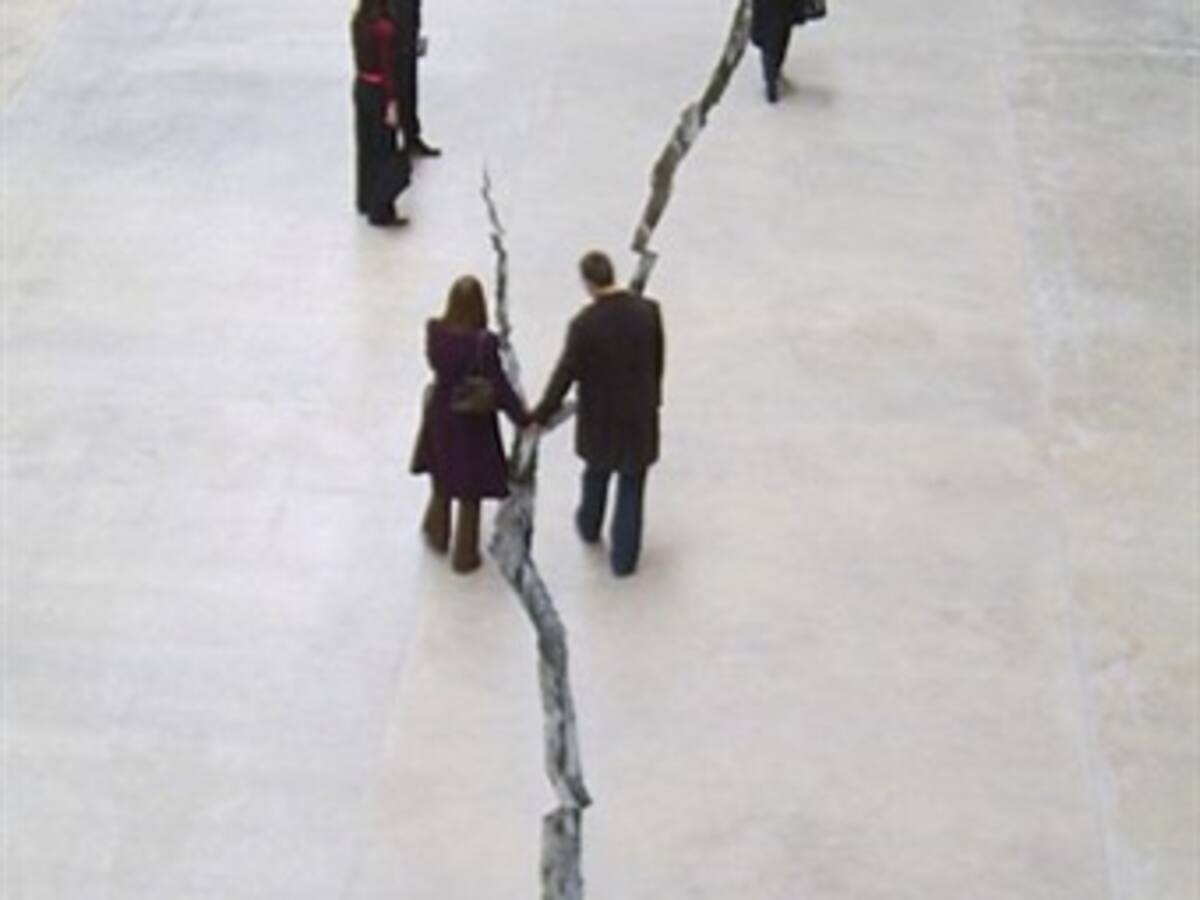Doris Salcedo, escultora colombiana gana el Premio Velázquez 2010